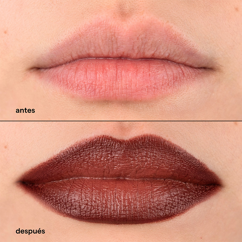 LIP COMBO BUCH&Oacute;N (SET PARA LABIOS)